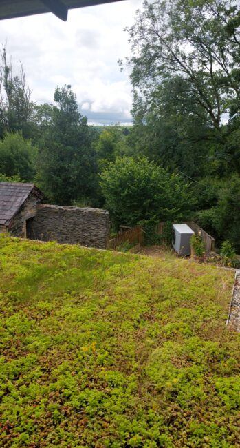green-roof-room-4 green-roof-room-4